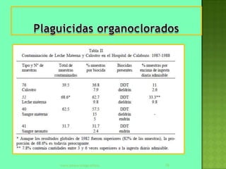 maria johana ortega stifano   78
 