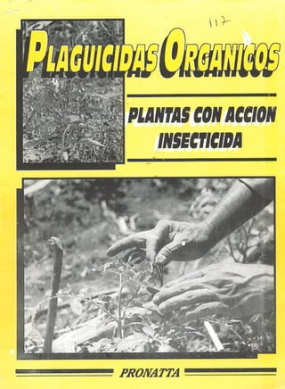 Plaguicidas orgánicos - Plantas con acción insecticida