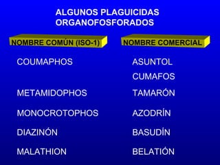 Plaguicidas, organos fosforados y carbamatos | PPT