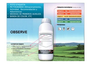 • FOTO ETIQUETA
• PICTOGRAMAS (Almacenamiento,
  Actividad, Recomendación y
  Advertencia)
• MEDIDAS DE PRIMEROS AUXILIOS
• BANDA DE COLOR, ETC
 