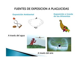 FUENTES DE EXPOSICION A PLAGUICIDAS
    Exposición Ambiental                       Exposición a través
                                               de los Alimentos




A través del agua




                           A través del aire
 