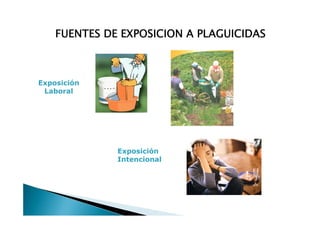 FUENTES DE EXPOSICION A PLAGUICIDAS



Exposición
 Laboral




              Exposición
              Intencional
 
