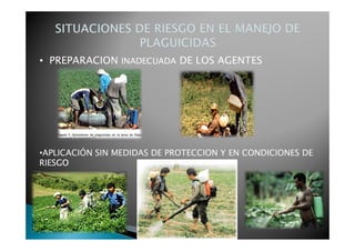 • PREPARACION INADECUADA DE LOS AGENTES




•APLICACIÓN SIN MEDIDAS DE PROTECCION Y EN CONDICIONES DE
RIESGO
 