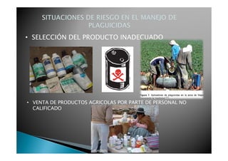 • SELECCIÓN DEL PRODUCTO INADECUADO




• VENTA DE PRODUCTOS AGRICOLAS POR PARTE DE PERSONAL NO
  CALIFICADO
 