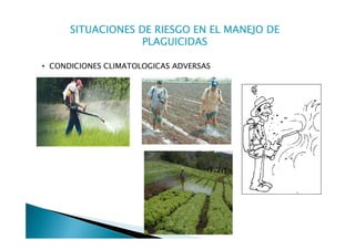 SITUACIONES DE RIESGO EN EL MANEJO DE
                   PLAGUICIDAS

• CONDICIONES CLIMATOLOGICAS ADVERSAS
 