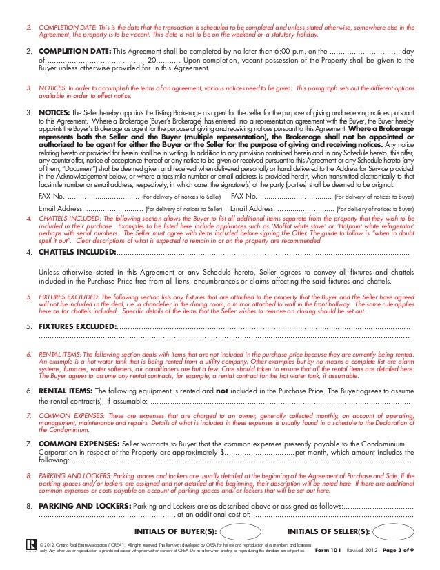 friendship essay for school vet tech