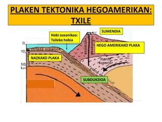 PLAKEN TEKTONIKA HEGOAMERIKAN:
TXILE
Hobi ozeanikoa:
Txileko hobia

SUMENDIA
HEGO AMERIKAKO PLAKA

NAZKAKO PLAKA

SUBDUKZIOA

 