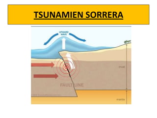 TSUNAMIEN SORRERA

 