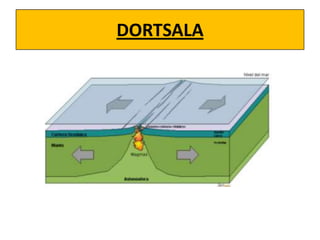 DORTSALA

 