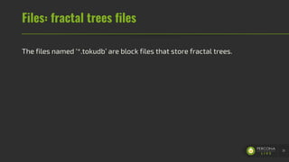 Files: fractal trees files
The files named ‘*.tokudb’ are block files that store fractal trees.
31
 