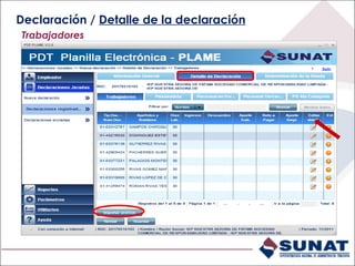 Trabajadores
Declaración / Detalle de la declaración
 
