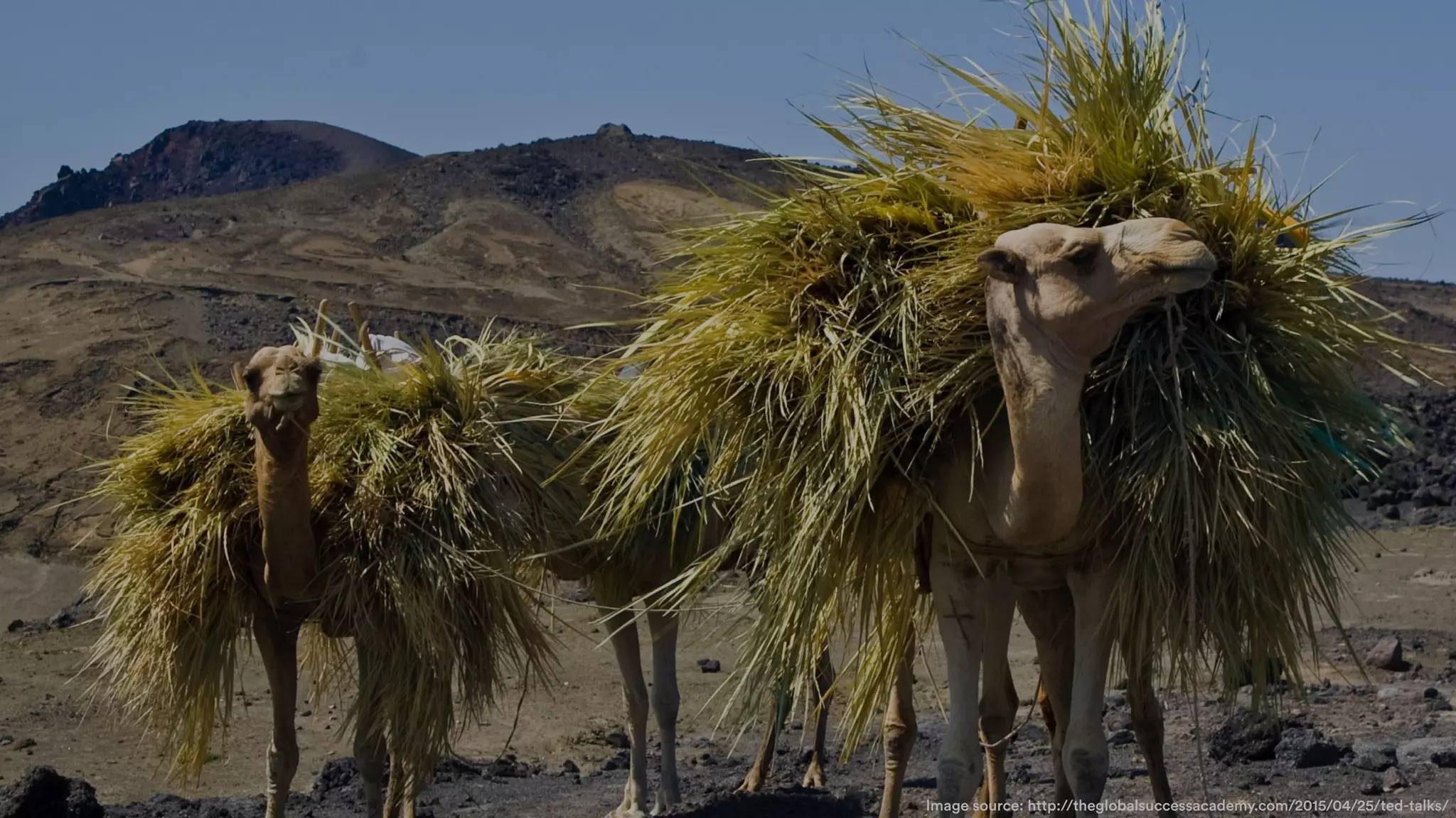 • Big cool statistic
• 2,56
9
• Add-Ons in Marketplace
Image source: http://theglobalsuccessacademy.com/2015/04/25/ted-talks/
 