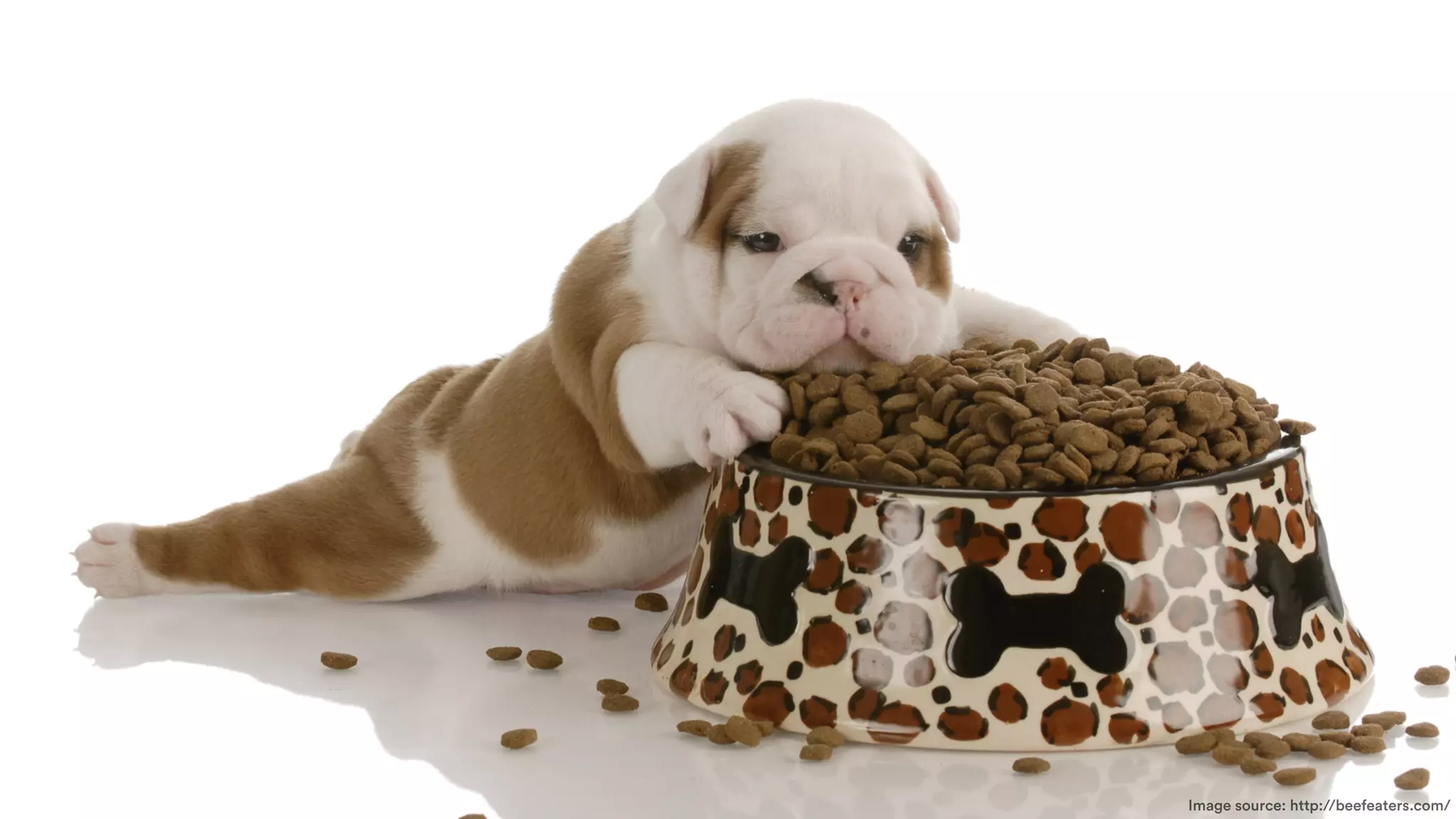 Image source: http://beefeaters.com/
 