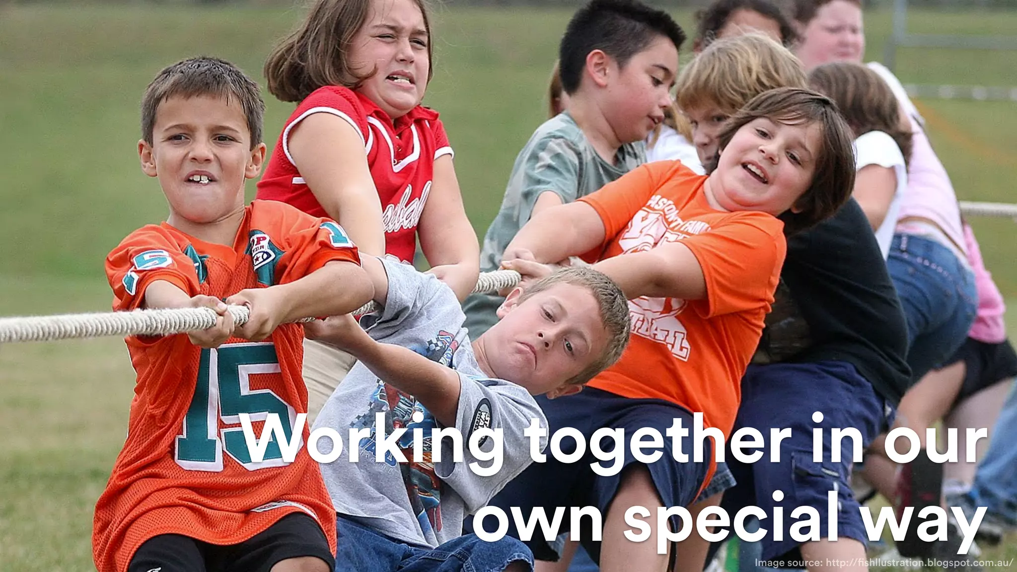 Working together in our
own special wayImage source: http://fishllustration.blogspot.com.au/
 