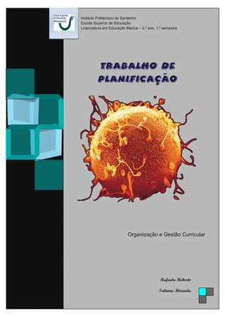 Trabalho de
Planificação
Organização e Gestão Curricular
Rafaela Roberto
Tatiana Miranda
Instituto Politécnico de Santarém
Escola Superior de Educação
Licenciatura em Educação Básica – 3.º ano, 1.º semestre
 