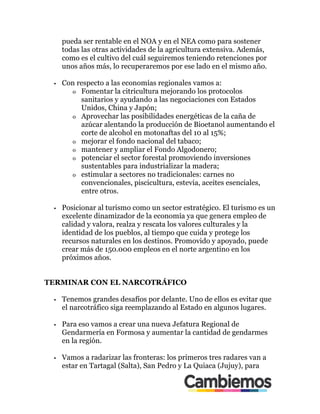 pueda ser rentable en el NOA y en el NEA como para sostener
todas las otras actividades de la agricultura extensiva. Además,
como es el cultivo del cuál seguiremos teniendo retenciones por
unos años más, lo recuperaremos por ese lado en el mismo año.
•! Con respecto a las economías regionales vamos a:
o! Fomentar la citricultura mejorando los protocolos
sanitarios y ayudando a las negociaciones con Estados
Unidos, China y Japón;
o! Aprovechar las posibilidades energéticas de la caña de
azúcar alentando la producción de Bioetanol aumentando el
corte de alcohol en motonaftas del 10 al 15%;
o! mejorar el fondo nacional del tabaco;
o! mantener y ampliar el Fondo Algodonero;
o! potenciar el sector forestal promoviendo inversiones
sustentables para industrializar la madera;
o! estimular a sectores no tradicionales: carnes no
convencionales, piscicultura, estevia, aceites esenciales,
entre otros.
•! Posicionar al turismo como un sector estratégico. El turismo es un
excelente dinamizador de la economía ya que genera empleo de
calidad y valora, realza y rescata los valores culturales y la
identidad de los pueblos, al tiempo que cuida y protege los
recursos naturales en los destinos. Promovido y apoyado, puede
crear más de 150.000 empleos en el norte argentino en los
próximos años.
TERMINAR CON EL NARCOTRÁFICO
•! Tenemos grandes desafíos por delante. Uno de ellos es evitar que
el narcotráfico siga reemplazando al Estado en algunos lugares.
•! Para eso vamos a crear una nueva Jefatura Regional de
Gendarmería en Formosa y aumentar la cantidad de gendarmes
en la región.
•! Vamos a radarizar las fronteras: los primeros tres radares van a
estar en Tartagal (Salta), San Pedro y La Quiaca (Jujuy), para
 