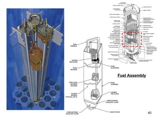 Fuel Assembly 