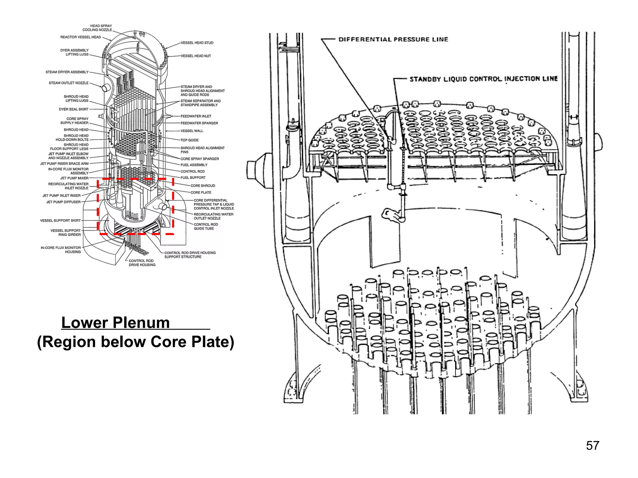 Lower Plenum  (Region below Core Plate) 
