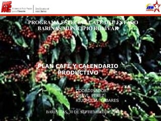 PROGRAMA ESPECIAL CAFÉ DEL ESTADO BARINAS MUNICIPIO BOLIVAR PLAN CAFÉ Y CALENDARIO PRODUCTIVO COORDINADOR: DARVI  PEREZ RIUDMILIA  TABARES BARINITAS, 30 DE SEPTIEMBRE DE 2008 