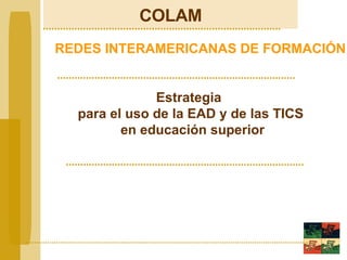 COLAM REDES INTERAMERICANAS DE FORMACIÓN Estrategia  para el uso de la EAD y de las TICS en educación superior 