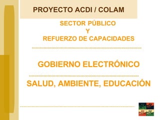 SECTOR   PÚBLICO  Y  REFUERZO DE CAPACIDADES GOBIERNO ELECTRÓNICO SALUD, AMBIENTE, EDUCACIÓN PROYECTO  ACDI / COLAM 