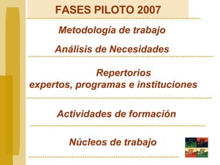 FASES PILOTO 2007 Metodología de trabajo Análisis de Necesidades Repertorios  expertos, programas e instituciones   Actividades de formación   Núcleos de trabajo 