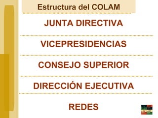Estructura del COLAM JUNTA DIRECTIVA VICEPRESIDENCIAS CONSEJO SUPERIOR DIRECCIÓN EJECUTIVA REDES 
