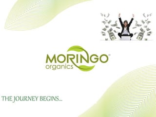 THE JOURNEY BEGINS…
 