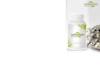 MORINGO ORGANICS COMPENSESATION  PLAN 