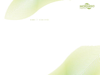 MORINGO ORGANICS COMPENSESATION  PLAN 