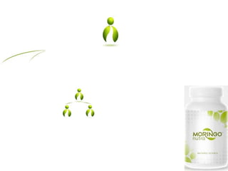 MORINGO ORGANICS COMPENSESATION  PLAN 