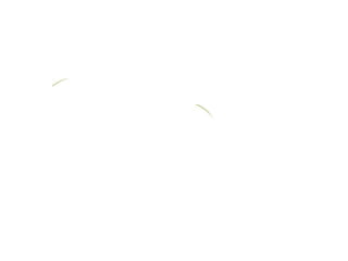 MORINGO ORGANICS COMPENSESATION  PLAN 