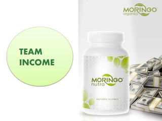 TEAM
INCOMETEAM
INCOME
 