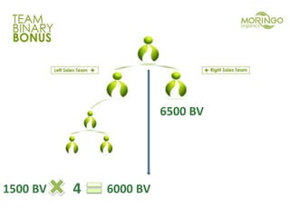 1500 BV 4 6000 BV
6500 BV
 