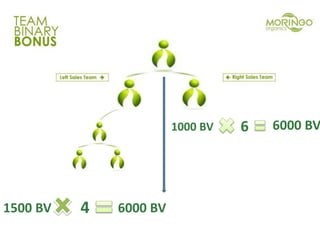 1500 BV 4 6000 BV
6000 BV1000 BV 6
 