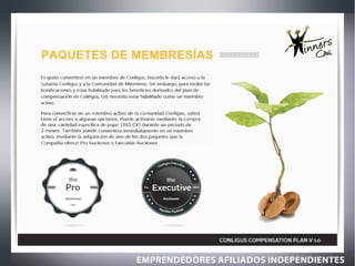 Plan de compensacion conligus