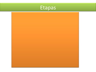 Etapas 