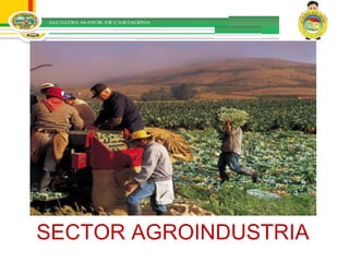 SECTOR AGROINDUSTRIA 