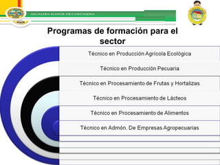 Programas de formación para el sector 