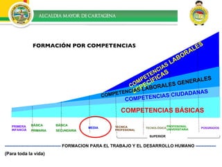FORMACIÓN POR COMPETENCIAS ------------------------------------  FORMACION PARA EL TRABAJO Y EL DESARROLLO HUMANO  ------------- (Para toda la vida) BÁSICA  PRIMARIA BÁSICA  SECUNDARIA MEDIA TECNICA PROFESIONAL TECNOLÓGICA PROFESIONAL UNIVERSITARIA COMPETENCIAS BÁSICAS COMPETENCIAS  LABORALES ESPECÍFICAS COMPETENCIAS  LABORALES GENERALES COMPETENCIAS CIUDADANAS SUPERIOR PRIMERA INFANCIA  POSGRADOS  
