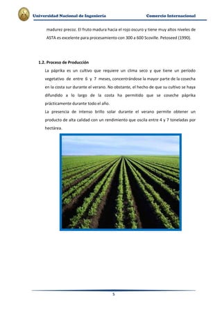 Plan de-exportacion-de-paprika-a-eeuu