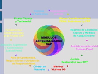 Argumentación Judicial Bloque Constitucionalidad DDHH, Estándares I y CPP Régimen de Libertades: Captura y Medidas  de Aseguramiento  Análisis estructural del Proceso Penal Justicia Restaurativa en el CPP Menores Víctimas DS Control de Garantías Ppio de Oportunidad, Negociaciones y Aceptación  de Responsabilidad Dirección, Supervisión y  Coordinación Judicial Penal Fundamentos Constitucionales de la Prueba CPP Prueba Técnica y Testimonial Técnicas  de Audiencias MÓDULOS ESPECIALIZADOS SAP 
