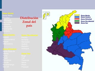 Zona Norte Zona Centro Zona Oriental Zona Occidental Zona Sur Zona Norte Santa Marta Sincelejo Valledupar San Andrés Riohacha Cartagena Barranquilla Montería Zona Occidental Pereira Armenia Manizales Quibdó Medellín Antioquia Distribución Zonal del país Zona Centro Bogotá Cundinamarca Ibagué Villavicencio Zona Oriental Santa Rosa de Viterbo Tunja Yopal Pamplona Cúcuta Bucaramanga San Gil Zona Sur Buga Cali Florencia Neiva Pasto Popayán 