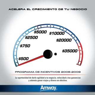 Plan De Incentivos Sip 08-09