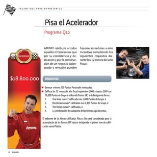 Plan De Incentivos Sip 08-09