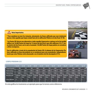 Plan De Incentivos Sip 08-09