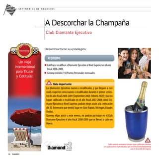 Plan De Incentivos Sip 08-09