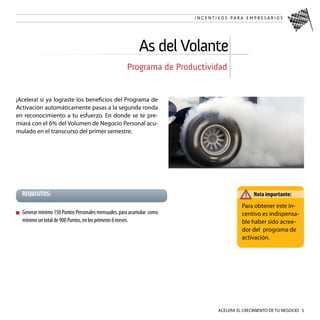 Plan De Incentivos Sip 08-09