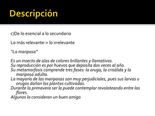 c)De lo esencial a lo secundario
Lo más relevante-> lo irrelevante
“La mariposa”
Es un insecto de alas de colores brillantes y llamativas.
Su reproducción es por huevos que deposita dos veces al año.
Su metamorfosis comprende tres fases: la oruga, la crisálida y la
mariposa adulta.
La mayoría de las mariposas son muy perjudiciales, pues sus larvas u
orugas dañan las plantas cultivadas.
Durante la primavera ser la puede contemplar revoloteando entre las
flores.
Algunos lo consideran un buen amigo
 