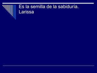 Es la semilla de la sabiduría.  Larissa 